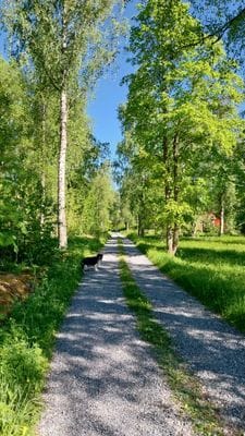 Mysigt fritidshus Lilla Björk nära sjön. - Bild 18