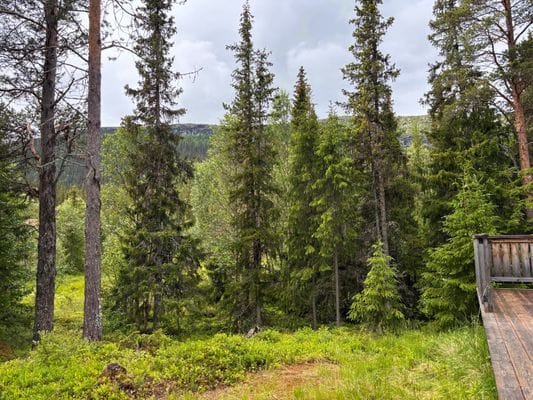 Mysig Fjällstuga med bastu & braskamin nära spår - Bild 12