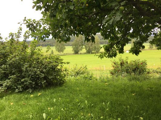 Mitt i vackra Hälsingland - Bild 3