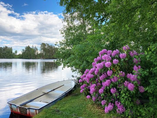 Härlig stuga med panoramautsikt över sjön |SE07027 - Bild 12
