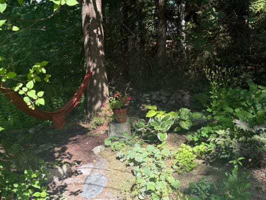 Ombyggt kapell – skogstomt med egen bastu - Bild 5
