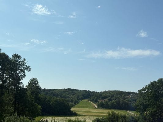 Gästhus i naturnära läge. - Bild 25