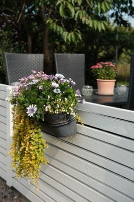 Mysig lägenhet på Öckerö - Bild 12