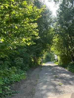 Sjönära stuga vid sjön Tolken - Bild 13