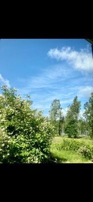 Drömstuga med sjöutsikt och egen badplats i skogen - Bild 33