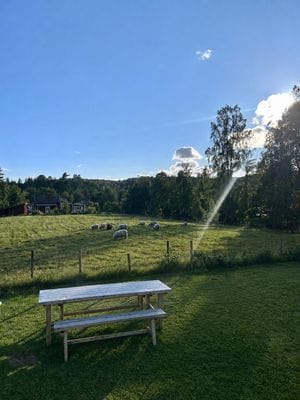 Drömstuga med sjöutsikt och egen badplats i skogen - Bild 34