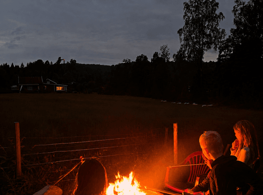 Drömstuga med sjöutsikt och egen badplats i skogen - Bild 41