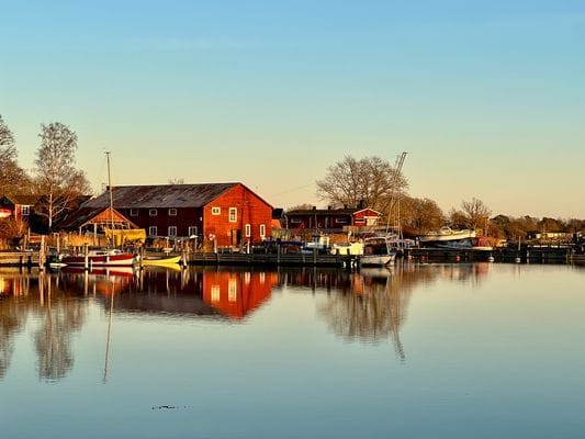 Skogsdröm nära hav och skärgård - Bild 9