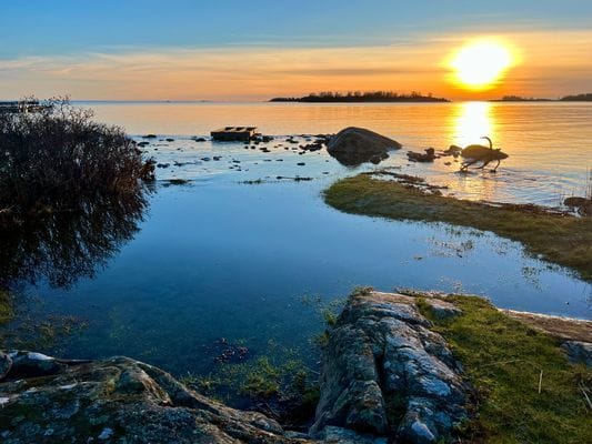 Skogsdröm nära hav och skärgård - Bild 7