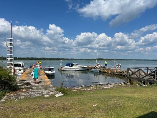 Skogsdröm nära hav och skärgård - Bild 33