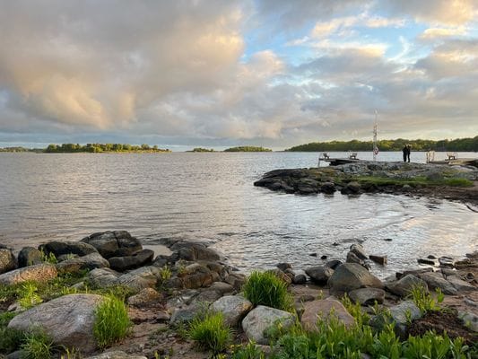 Skogsdröm nära hav och skärgård - Bild 34