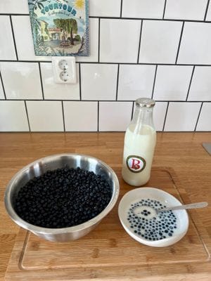 Skogsdröm nära hav och skärgård - Bild 31