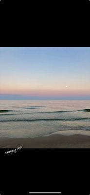 Sommaridyll vid Sandhammaren - Bild 15
