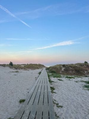 Sommaridyll vid Sandhammaren - Bild 14