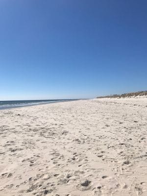 Sommaridyll vid Sandhammaren - Bild 17