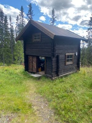 Grövelsjöfjällen-Björnliden 127 - Bild 4