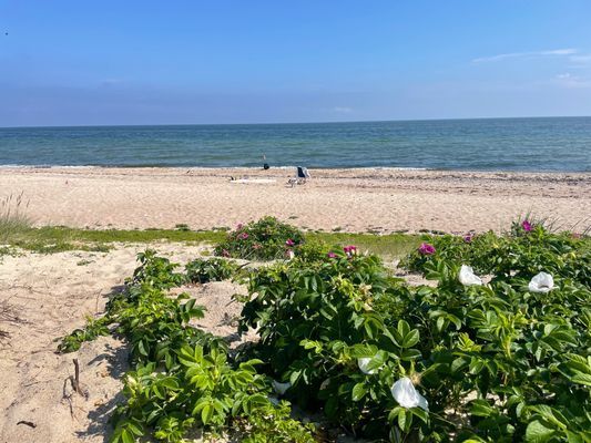 Stuga Öland Havsutsikt - Bild 26