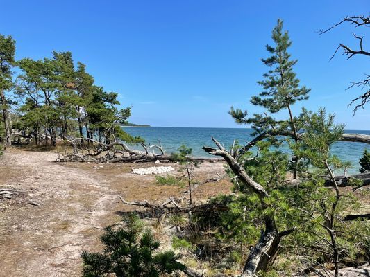 Stuga Öland Havsutsikt - Bild 27