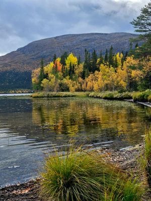 Mysig lägenhet i Ottsjö, Åre kommun - Bild 20