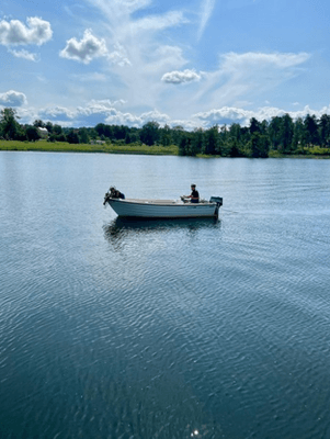 Adelsö idyll vid Mälaren med bastu och stor tomt - Bild 24
