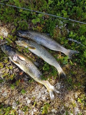 Stuga i Högvålen, Sveriges högst belägna by - Bild 21