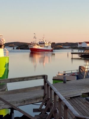 Rörö är en ö med ca 250 åretruntboende och ett levande fiske.