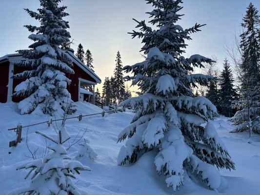 Ombonad stuga vid spår och sjö i Harsa - Bild 4