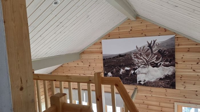 Nybyggd timrat stuga i Juktådalen - Bild 6