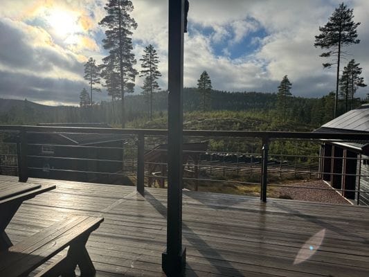 Toppmodern fjällstuga i Rörbäcknäs/Sälen - Bild 58