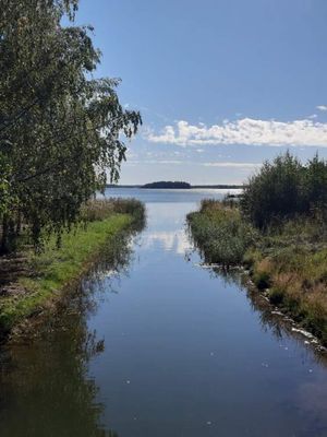 Charmig och modern stuga nära hav och natur - Bild 6
