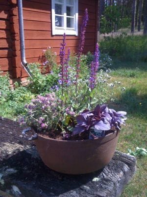 Charmigt sommarhus i Stora Rör – stor naturtomt - Bild 4