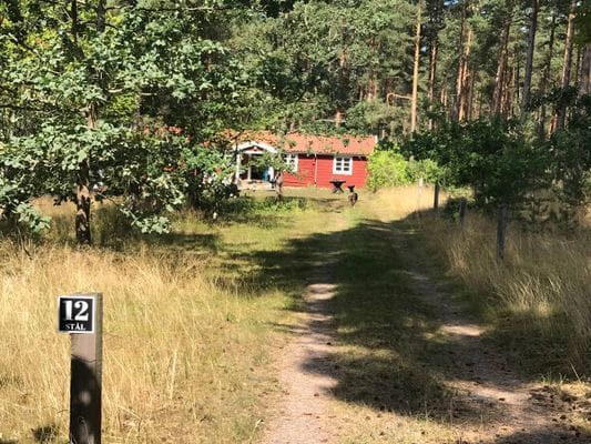 Charmigt sommarhus i Stora Rör – stor naturtomt - Bild 16