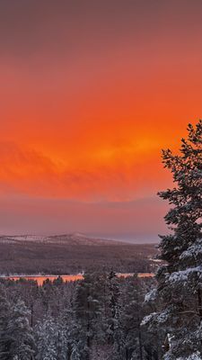 Mysig timmerstuga med magisk utsikt - Bild 25