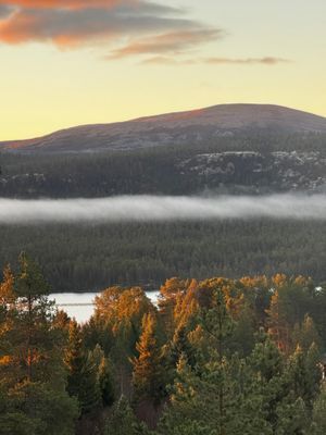 Mysig timmerstuga med magisk utsikt - Bild 28