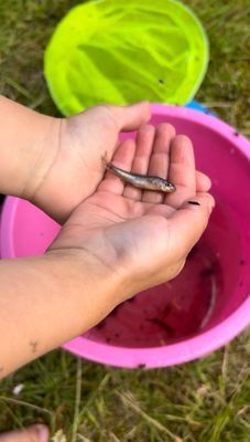 Fira jul i Lofsdalen 12 bäddar Sista-minuten-pris! - Bild 29