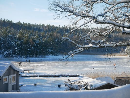 Upplev skärgården på Brevikshalvön - Bild 8