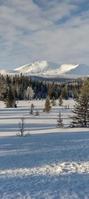Nybyggt lofthus 15 min från Åre Björnen - Bild 63