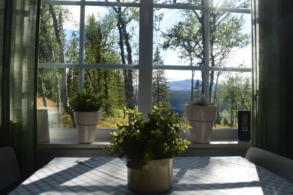 Mysig liten stuga - Bild 13