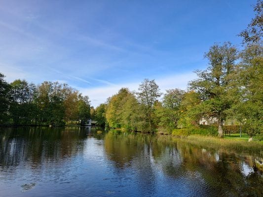 Rosendala semesterhus 3 sovrum, 7 bäddar. Bodafors - Bild 30