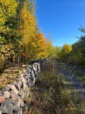 Enkelt boende i vår "Drängstuga" på Svedens gård - Bild 19
