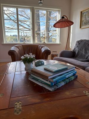 Fantastiskt familjehus med sjötomt och bastu - Bild 32