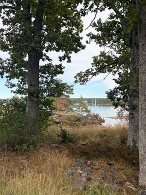 Stockholms skärgård, brygga, bastu och bilväg - Bild 5