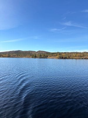 En fjällsjö i sommarskrud