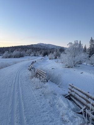 Längdspår mot fjället Lillvalen