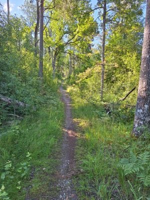 Gästhus - Bild 19