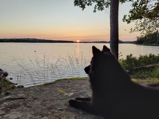 Hus i Urshult, med egen strand vid Åsnen - Bild 5