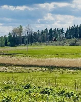 Vy på väg till torpet.