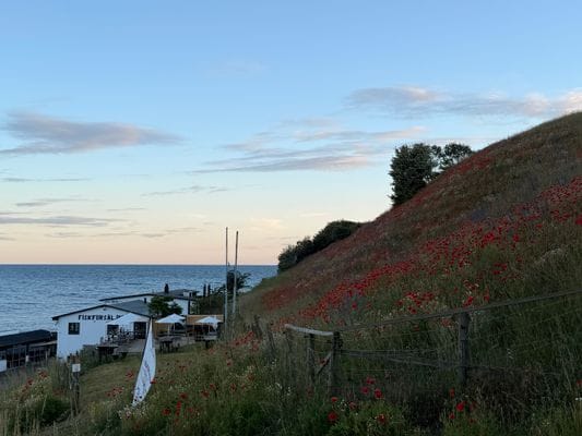 Gästlägenhet i hjärtat av Österlen - Bild 13