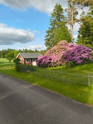 Liten enkel stuga lantligt belägen - Bild 2