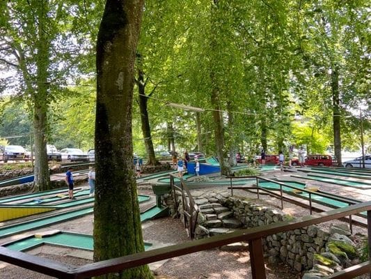 Stuga i bokskogen invid en sjö - Bild 8